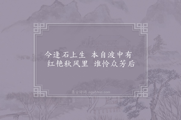 司空曙《石莲花》