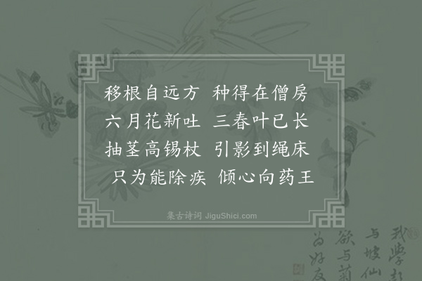 岑参《临洮龙兴寺玄上人院同咏青木香丛》