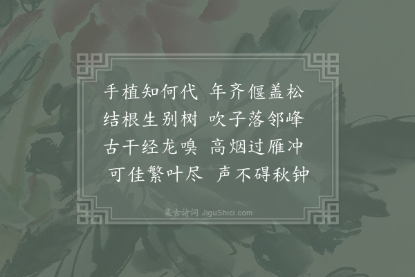 李洞《古柏》