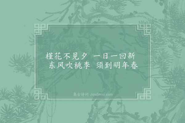 崔道融《槿花》