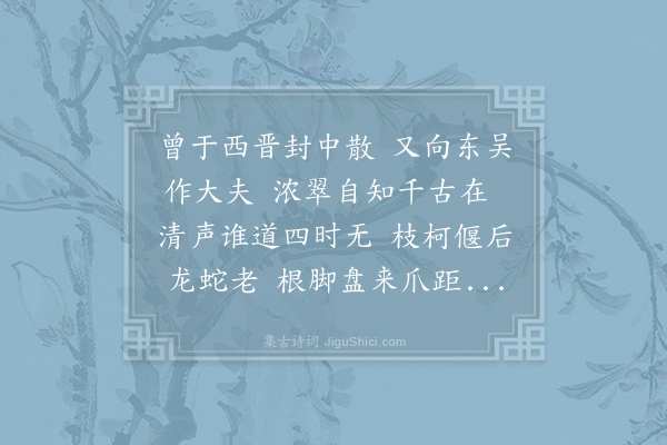 廖匡图《松》
