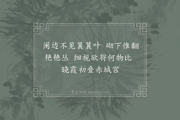 薛涛《金灯花》