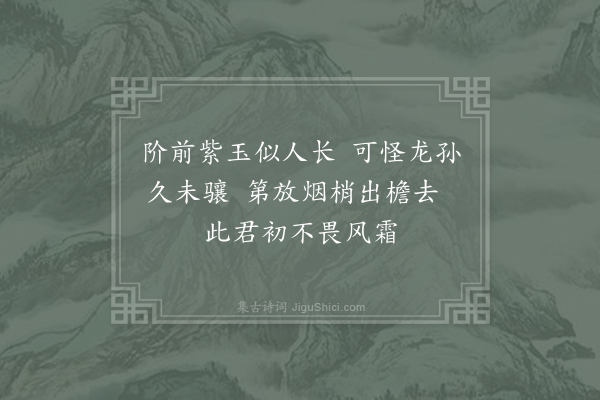 毛滂《灵芝观上人房植紫竹一本覆屋其上以庇朝日顾雨露所不及也疑其当憔悴枯槁反蔚然劲秀为作一绝句》