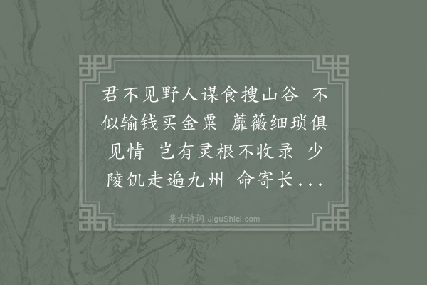 王洋《子楚持小甑中实以物饷予啖之如芋而味胜曰此黄独也野人得之故以分遗因感少陵诗率然有作》