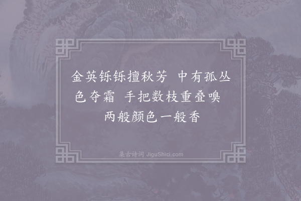 史铸《黄白菊》