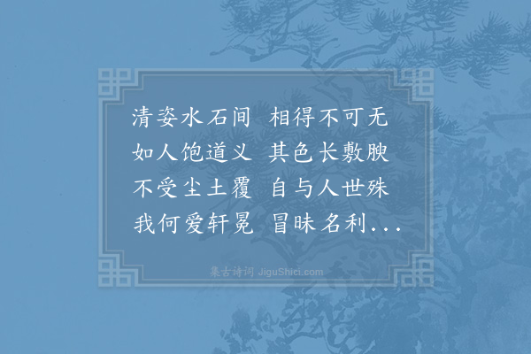 张九成《盆中石菖蒲》