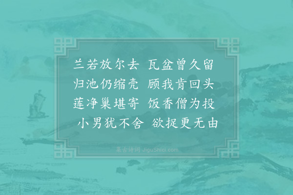 李达《妻为儿买龟种于瓦盆今携至护国寺放生戏题一首》