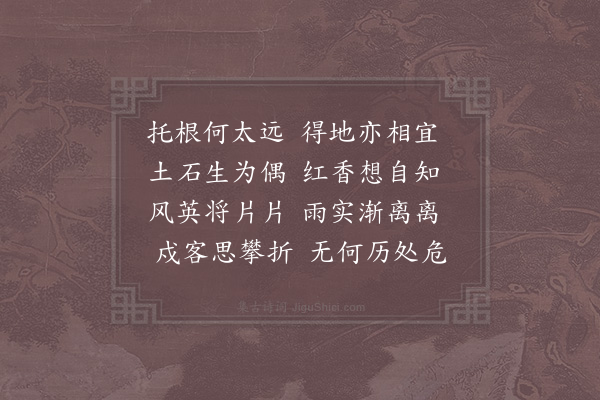 张舜民《岩花》