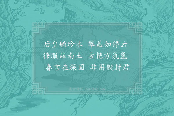 张嵲《橘林》