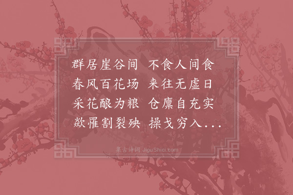 连文凤《蜜蜂》