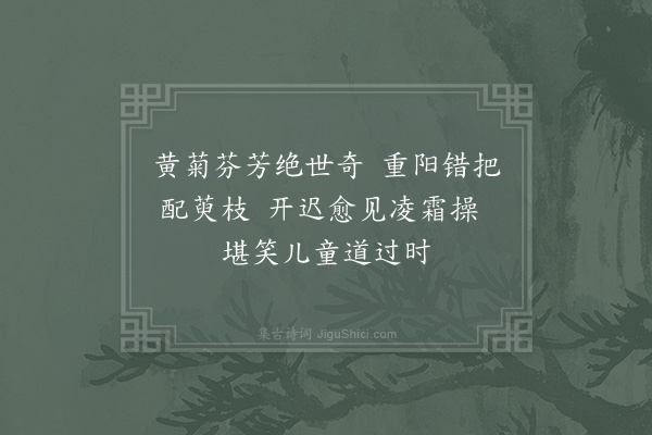 陆游《九月十二日折菊》