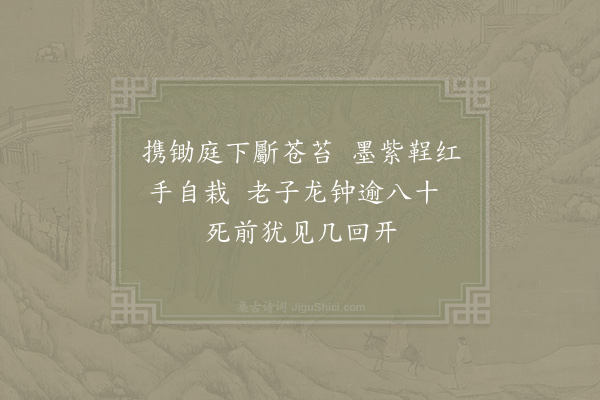 陆游《栽牡丹》