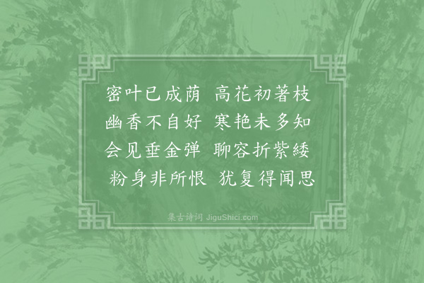 陈师道《楝花》