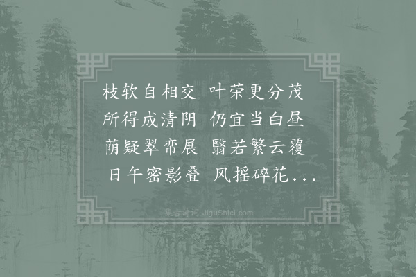 陈翥《西山桐十咏·桐阴》