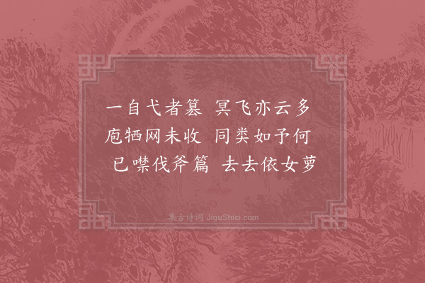 周文璞《鸟媒》