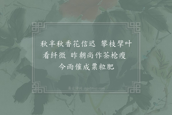 范成大《探木犀》