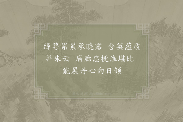 金朋说《葵花吟》