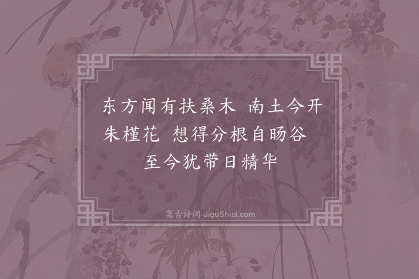 姜特立《佛桑花》