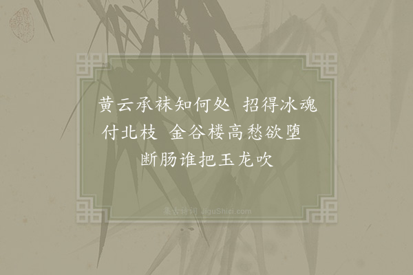 姜夔《绿萼梅》