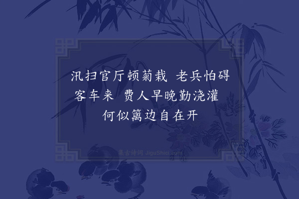 赵汝绩《菊花》