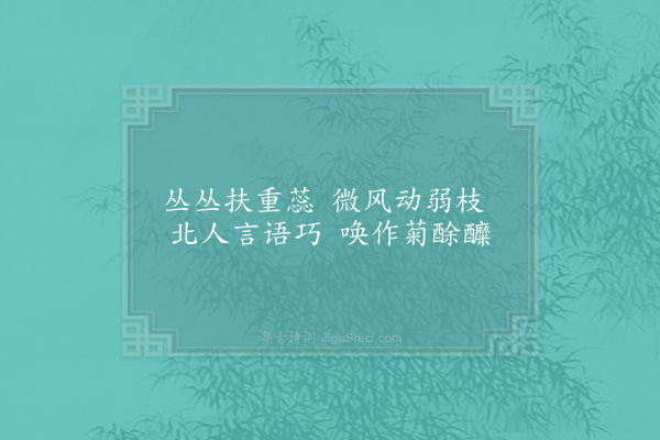 徐玑《酴醾》