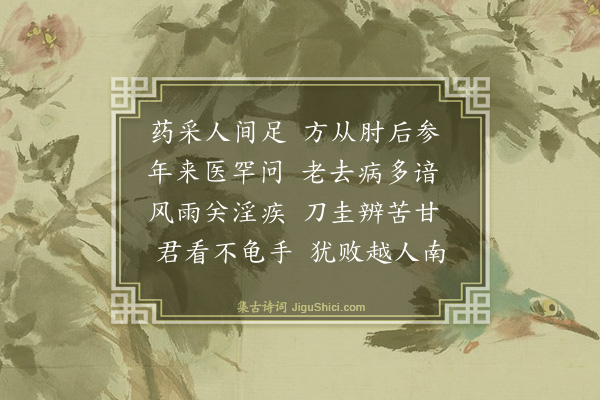 袁说友《治药》