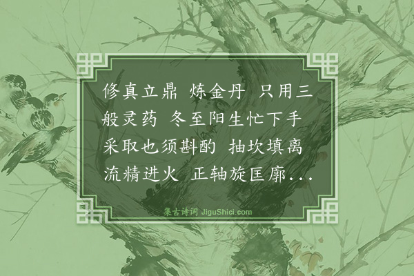 王玠《百字令·道宗》