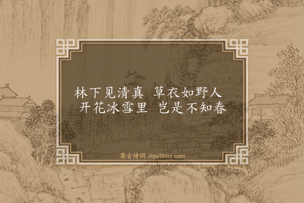 王冕《梅花十五首·其一》