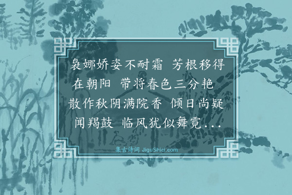 乔长史《咏醉杨妃菊》