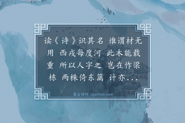 吴宽《记园中草木二十首·其三·柽》