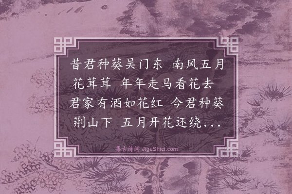 张羽《葵轩歌》