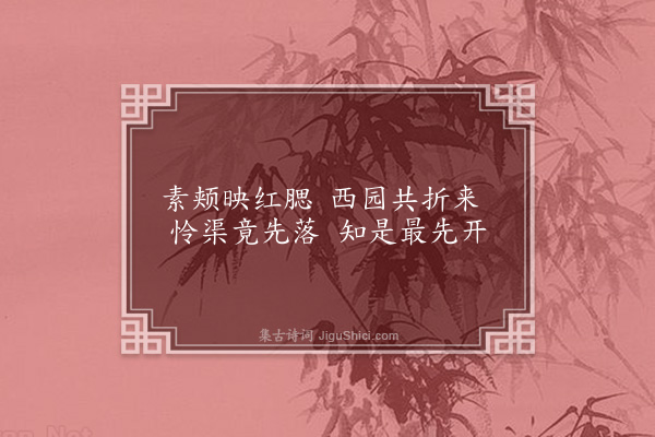 杨基《壶中二色桃花》