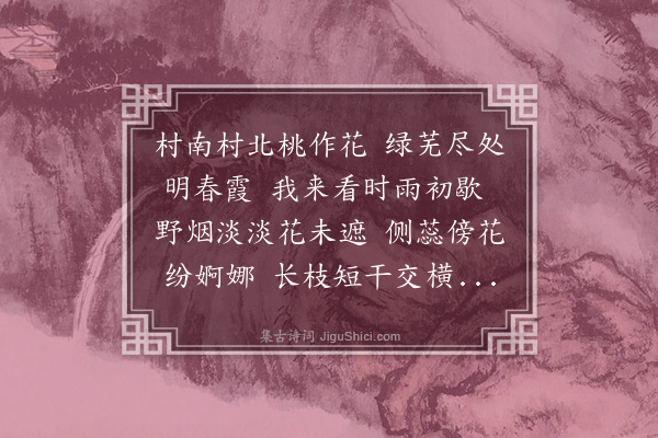 李长霞《看桃花》