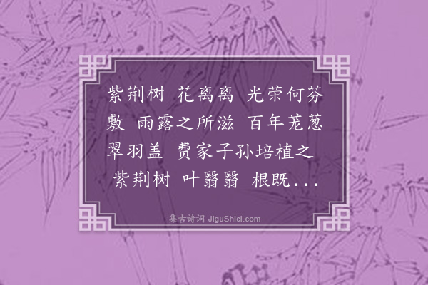 袁华《紫荆曲》