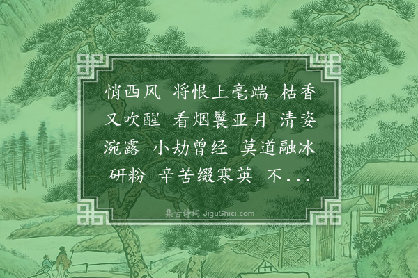 丁宁《甘州·画菊》