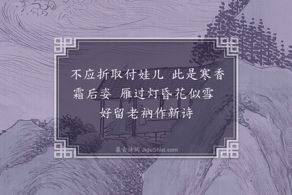 吴灏《白菊》