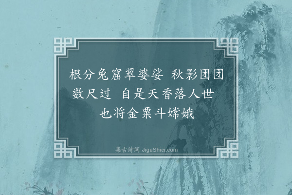 张仲深《小桂》