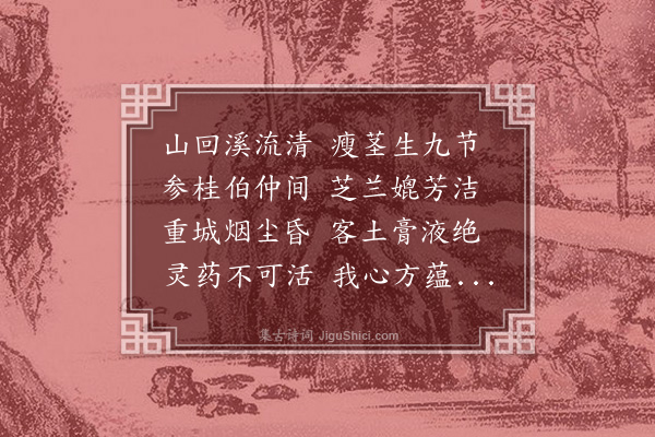 杨弘道《石盆石菖蒲》