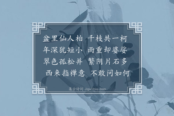 蓝仁《盆柏》