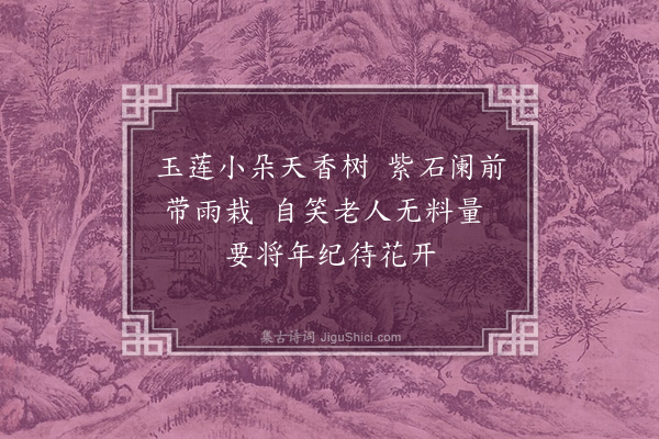 沈周《栽玉兰》