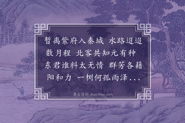 朱诚泳《惜红梅》