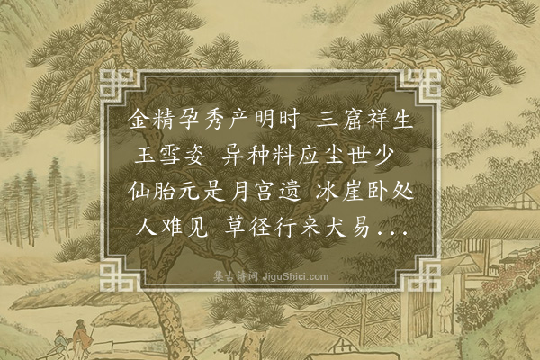 朱诚泳《白兔》