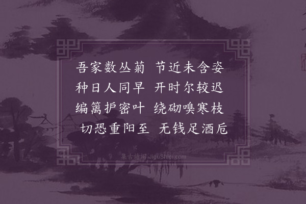 李梦阳《菊迟》