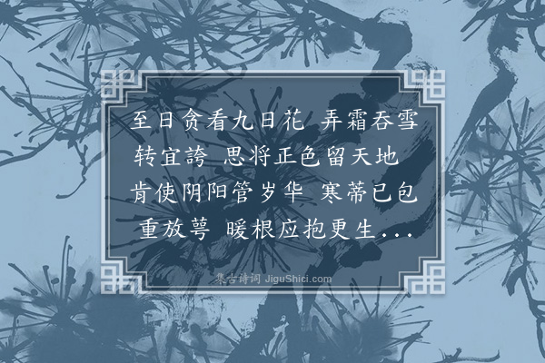 李梦阳《冬至菊》