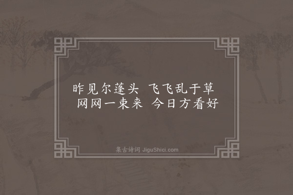 任环《冠》