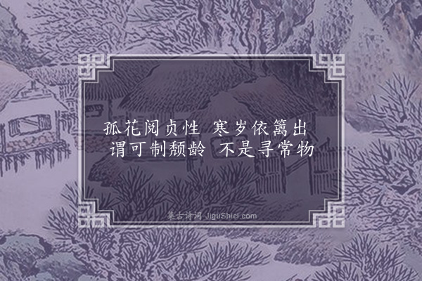 李洸《凤山下见篱菊·其三》