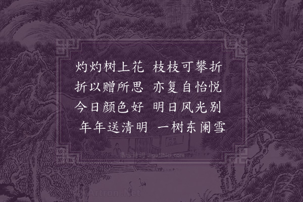 张端《和杨孟载对花五咏·其三·折花》