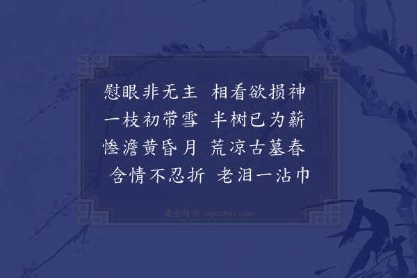 许恕《乱后省祖茔见梅花》