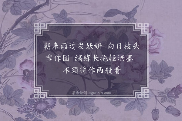 李之仪《杏花白鹇》