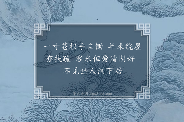 叶梦得《为山亭移植冬青等近遂成阴》